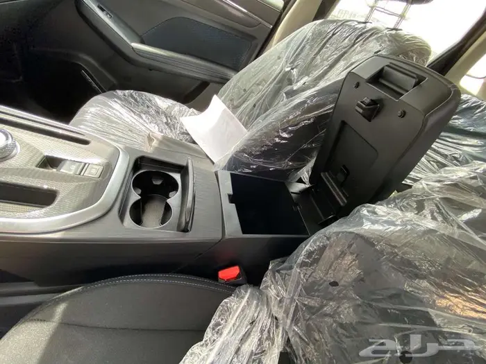 هافال جوليان بيسك موديل 2024 13