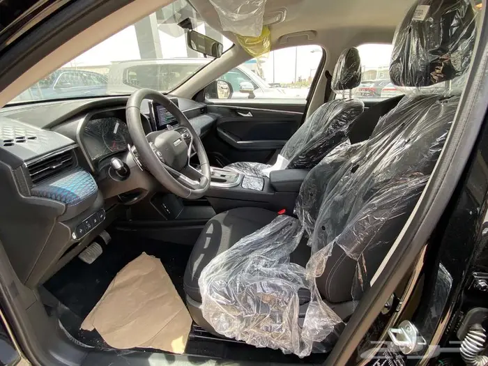 هافال جوليان بيسك موديل 2024 16