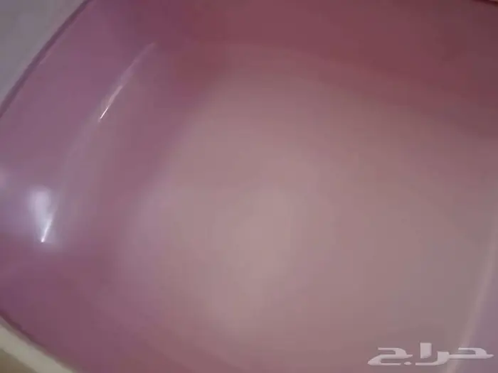 3 مستلزمات أساسية للقطط والكلاب الصغيرة 6