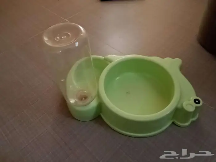 3 مستلزمات أساسية للقطط والكلاب الصغيرة 10