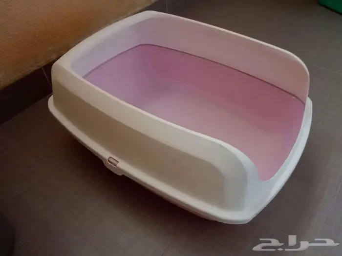 3 مستلزمات أساسية للقطط والكلاب الصغيرة 7