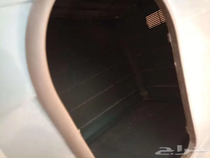 3 مستلزمات أساسية للقطط والكلاب الصغيرة 4