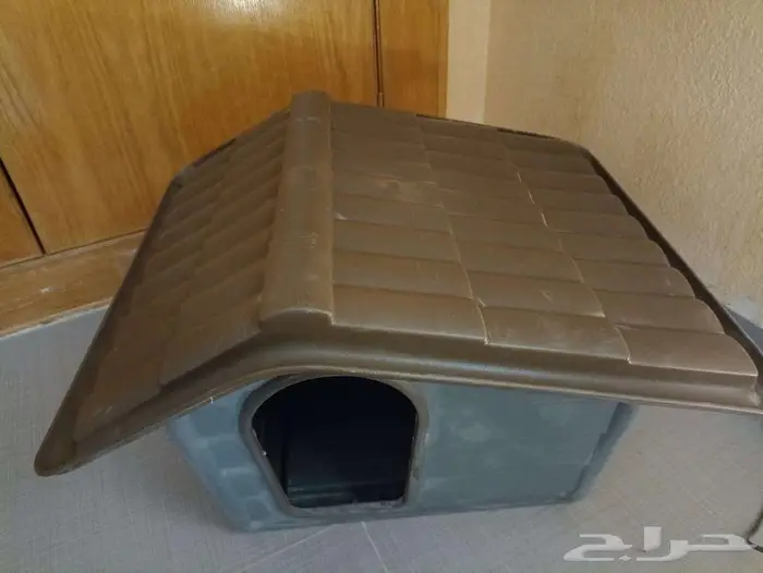 3 مستلزمات أساسية للقطط والكلاب الصغيرة 2