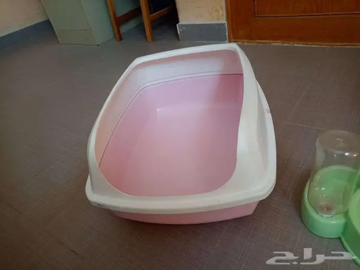 3 مستلزمات أساسية للقطط والكلاب الصغيرة 8