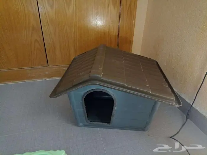 3 مستلزمات أساسية للقطط والكلاب الصغيرة 1