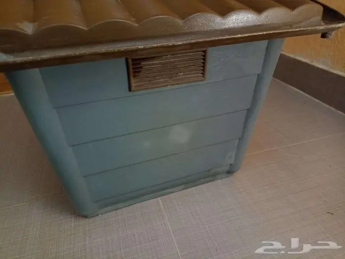 3 مستلزمات أساسية للقطط والكلاب الصغيرة 3