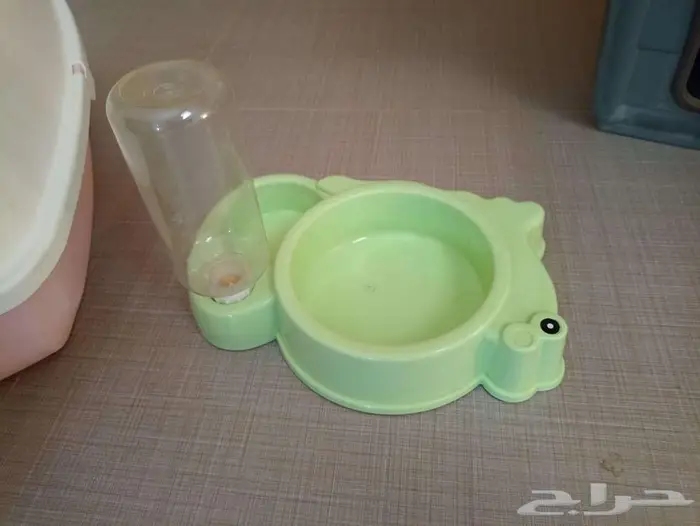 3 مستلزمات أساسية للقطط والكلاب الصغيرة 9