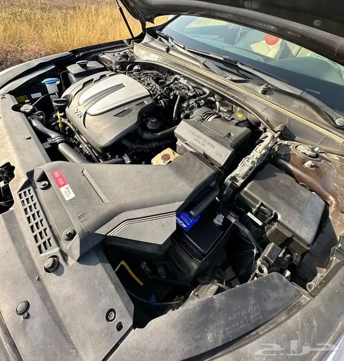 كادنزا 2020 نضيف جدا 47