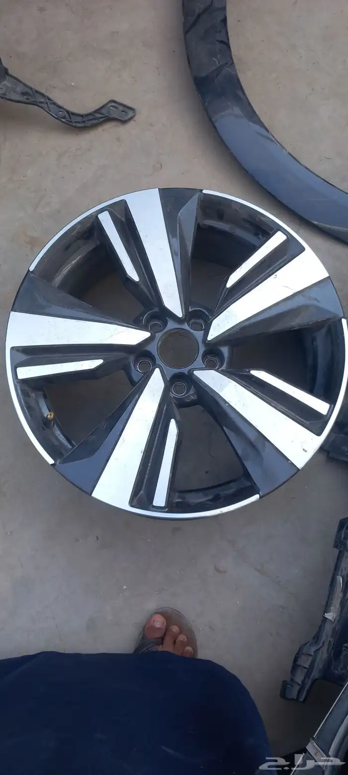 جنوط نيسان 2023 1