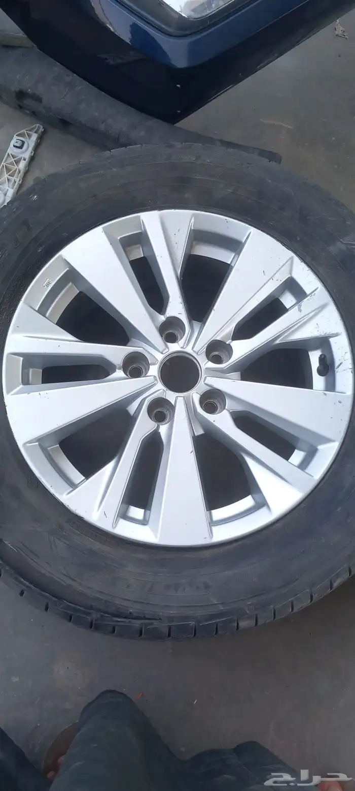 جنوط نيسان 2023 8