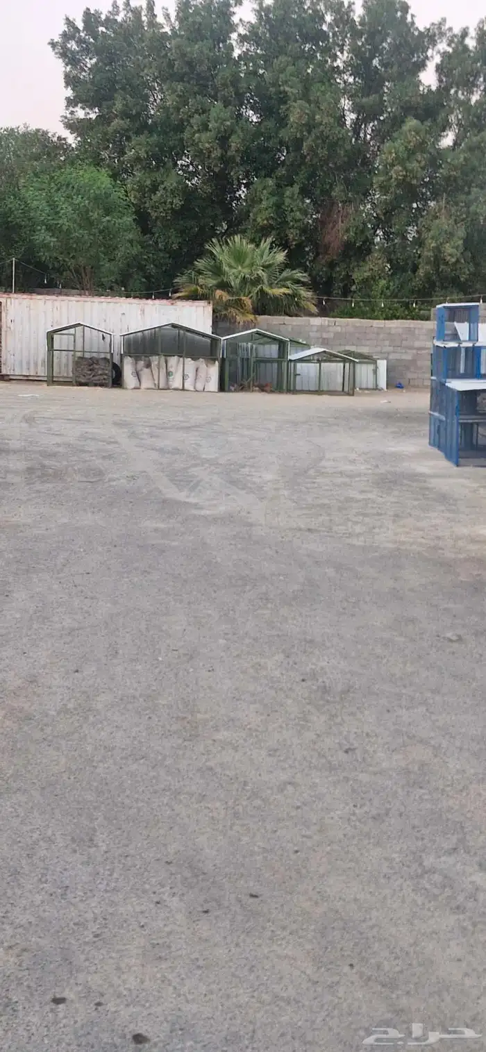 اعلاف ولوازم الطيور والاغنام يوجد توصيل 3