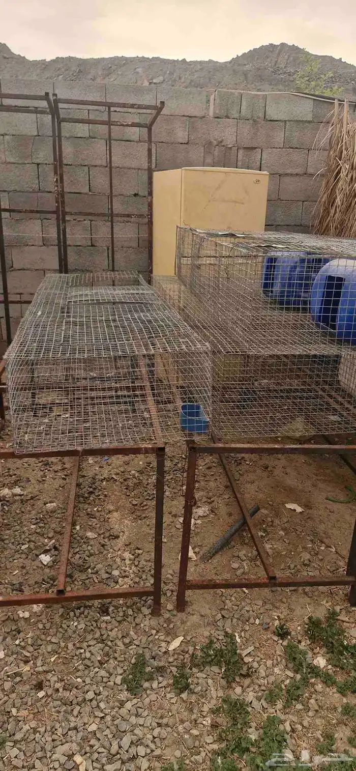 اعلاف ولوازم الطيور والاغنام يوجد توصيل 15