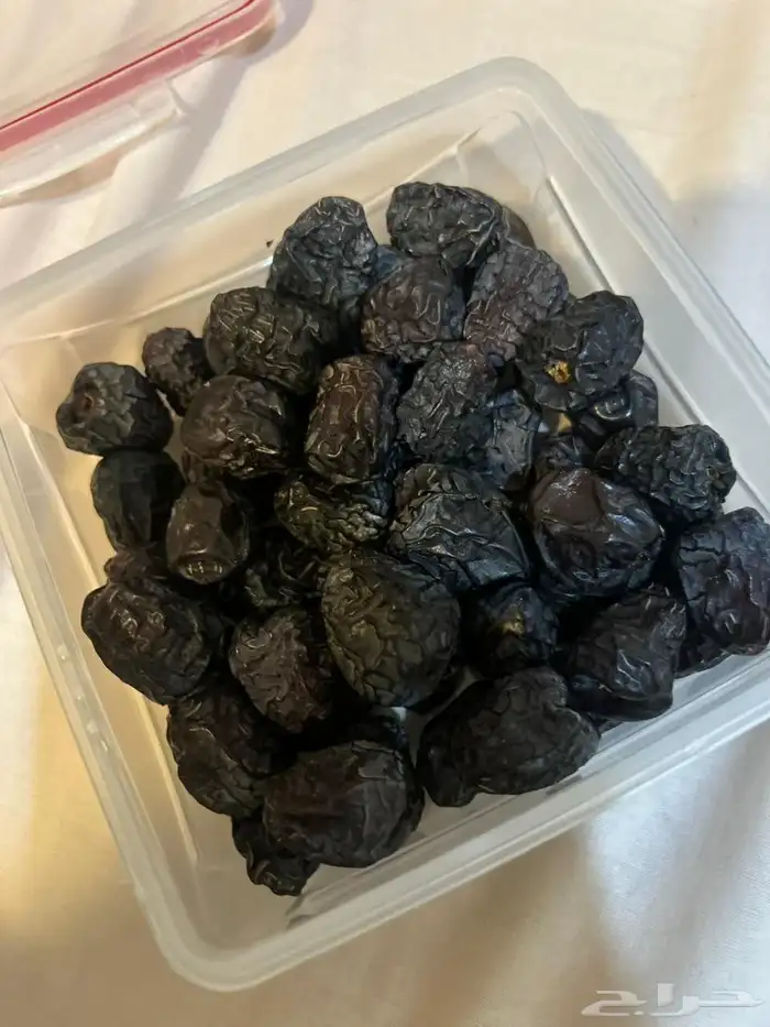 تمر عجوة المدينة 0