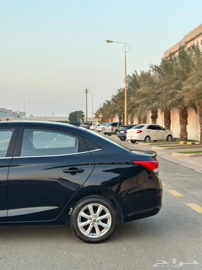 شانجان السفن 2024 فل كامل 5