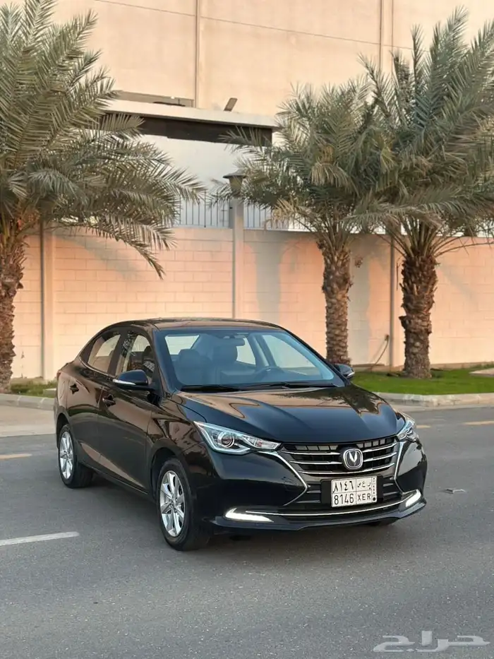 شانجان السفن 2024 فل كامل 1