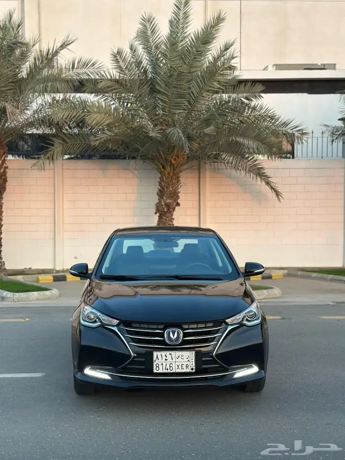 شانجان السفن 2024 فل كامل 0