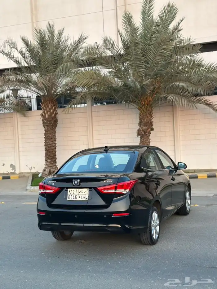 شانجان السفن 2024 فل كامل 8