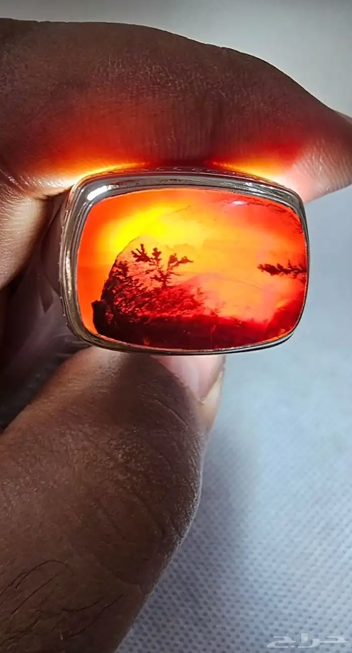 خاتم عقيق يمني مشجر 2