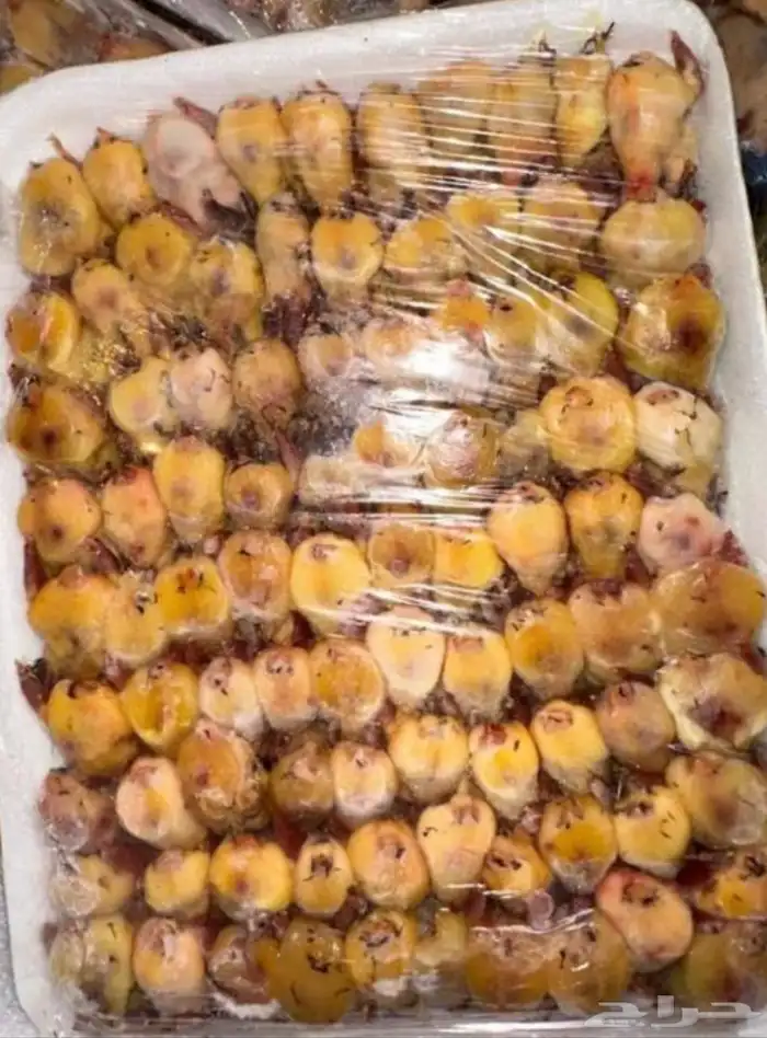 طيور الدخل 0