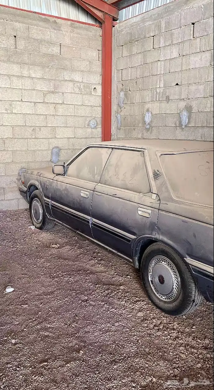 سيدرك نظيفه 7