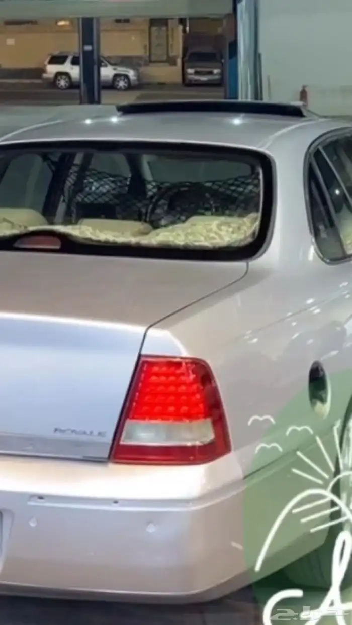 اسطب كابرس رويال وكاله ليد 0