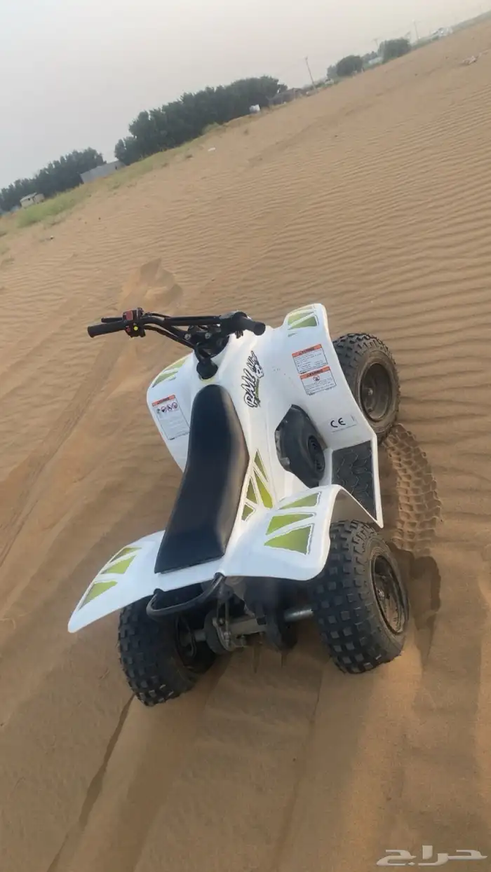 دباب تايوان صغير 1