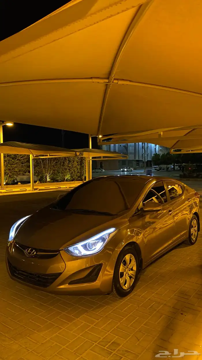 النترا 2016 ممشى قليل 7