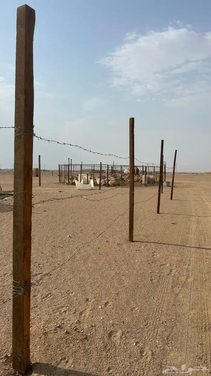 شبك غنم مراح غنم زربة غنم 4