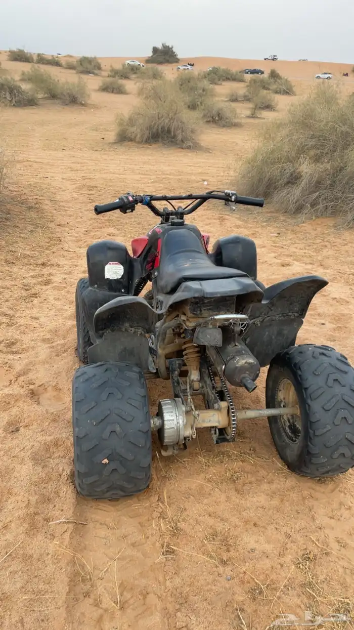 دباب شرط تيواني وسيط مقاس 100 2