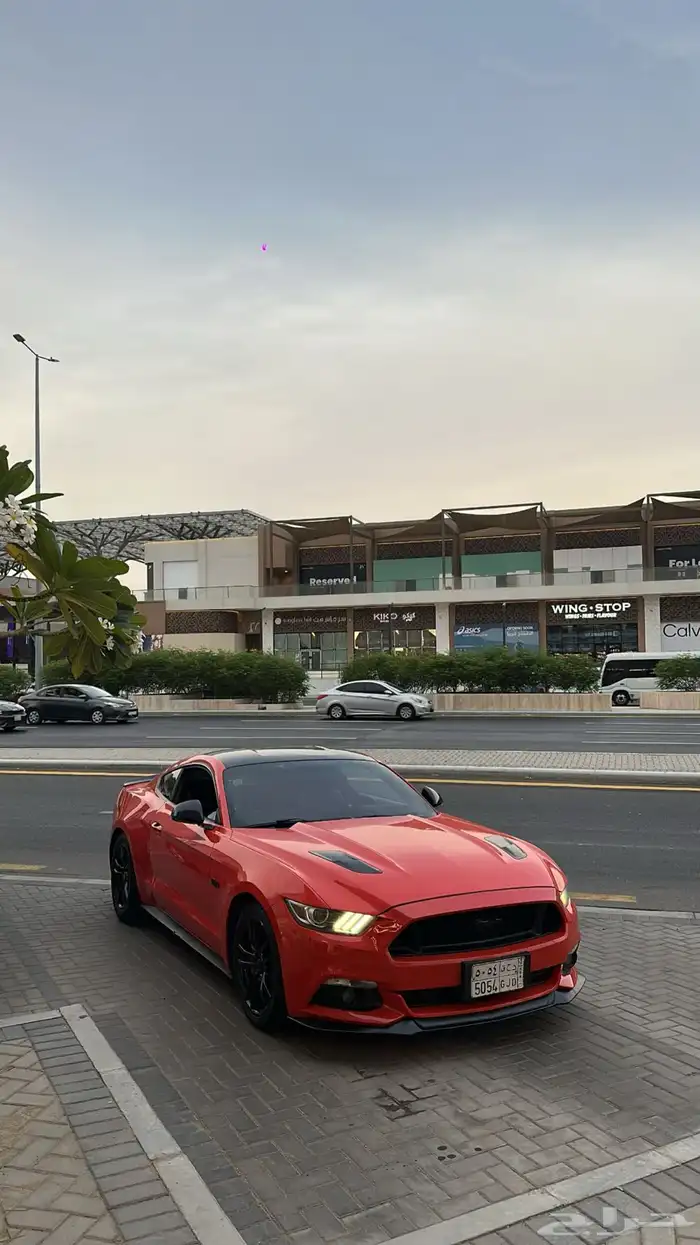 موستنق 2016 GT 3