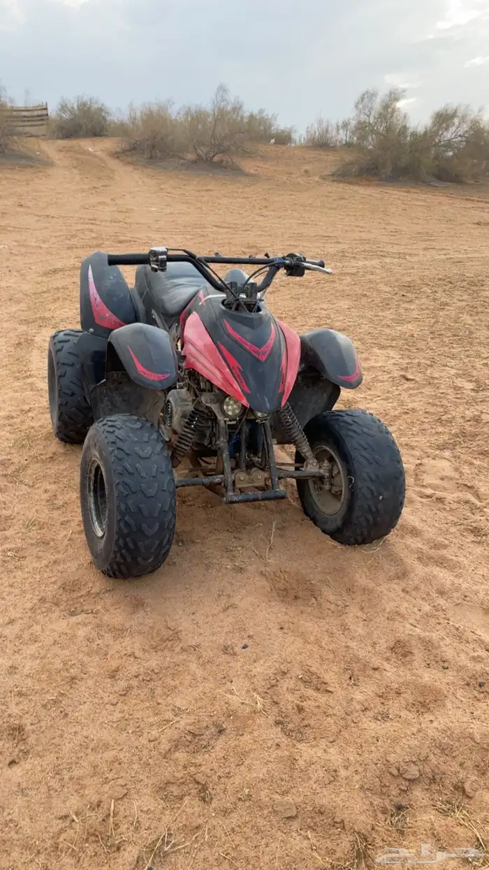 دباب شرط تيواني وسيط مقاس 100 1