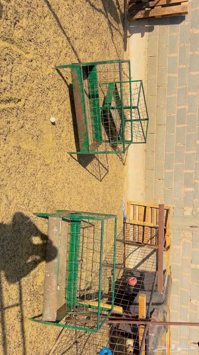 معالف نظاف للحلال شرط 0