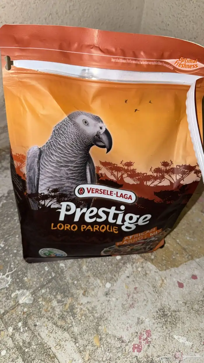 كاسكو فرخ للبيع 2