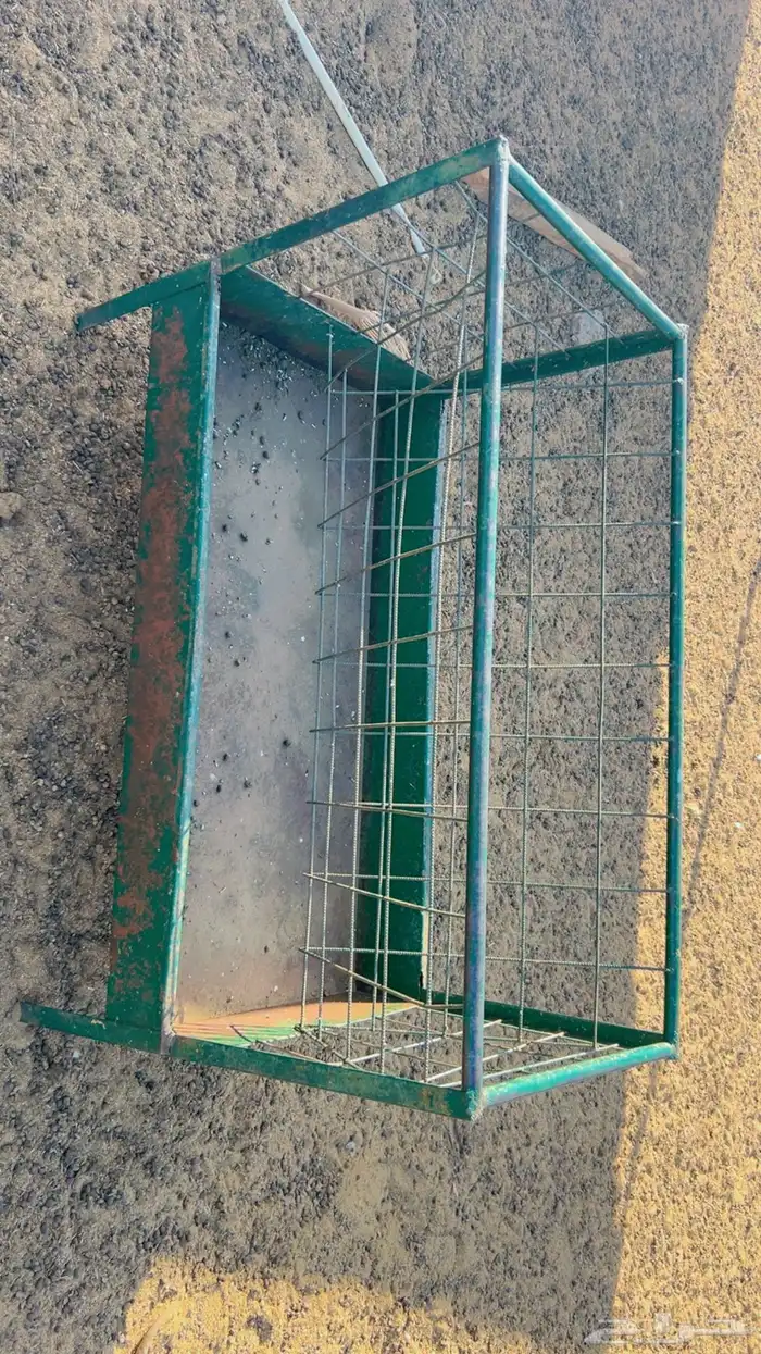 معالف نظاف للحلال شرط 2