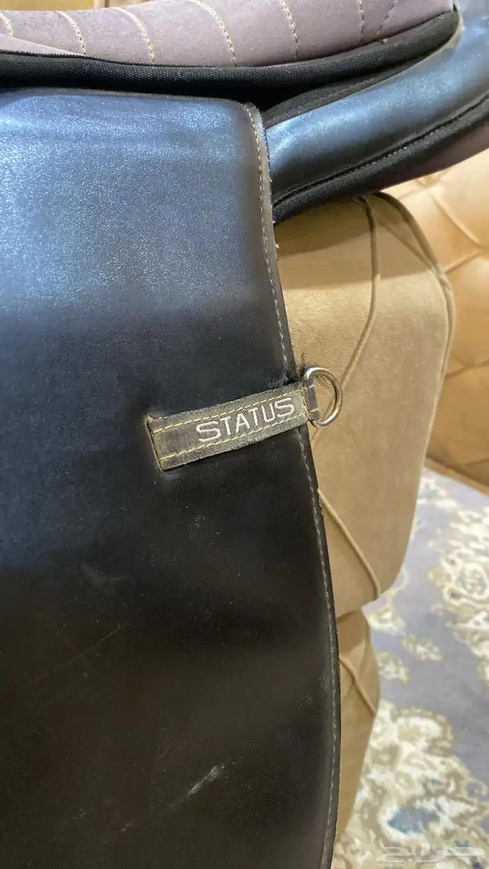 سرج ستيتوس الاصلي 3