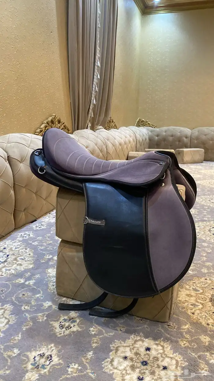 سرج ستيتوس الاصلي 1