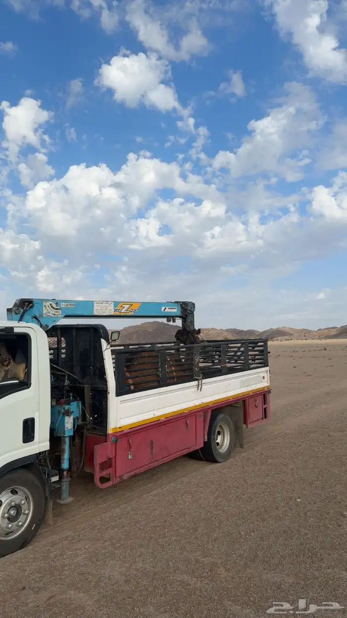 دنا ونش طالعه من القصيم الى المدينه 0