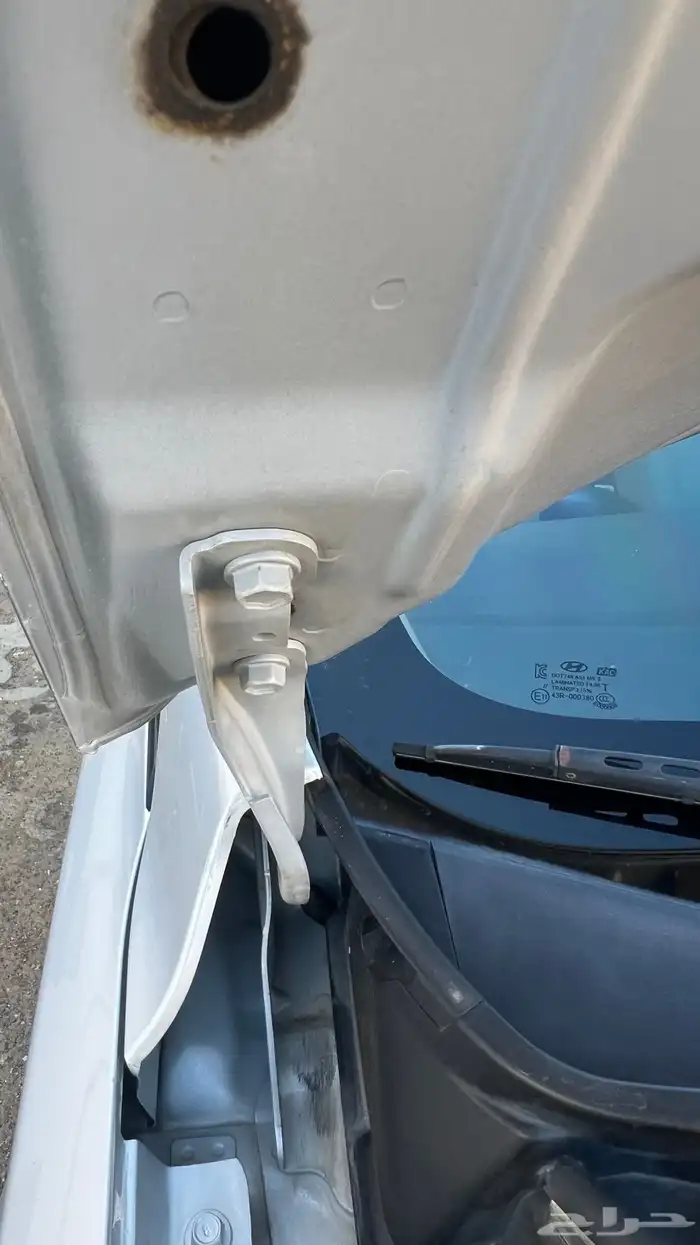 النترا 2016 وكالة ممشى قليل 23