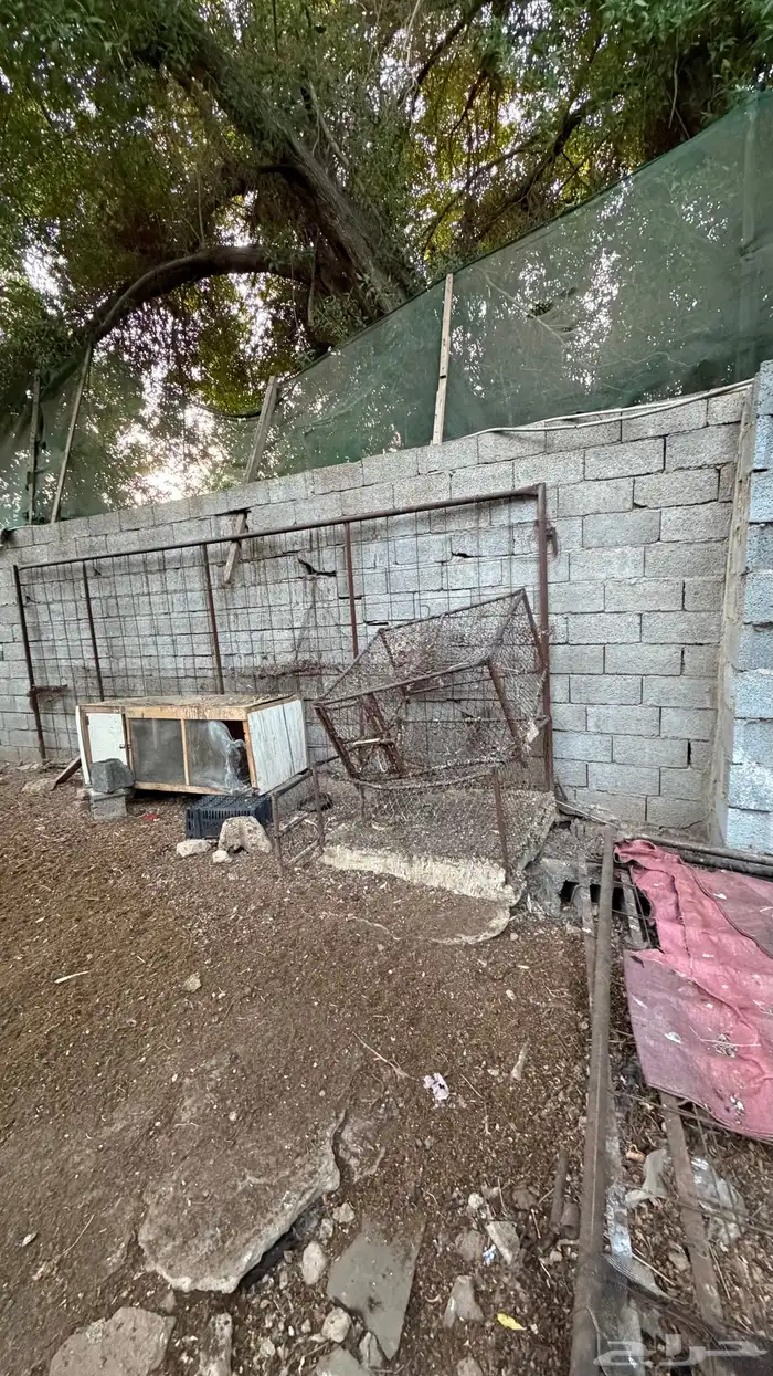 حديد باب ابواب حديد خردة سكراب 3