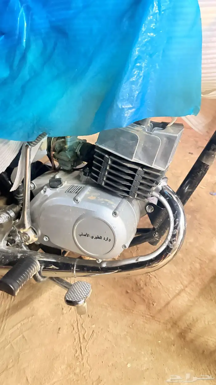 دباب وارد الطيري الأصلي 3