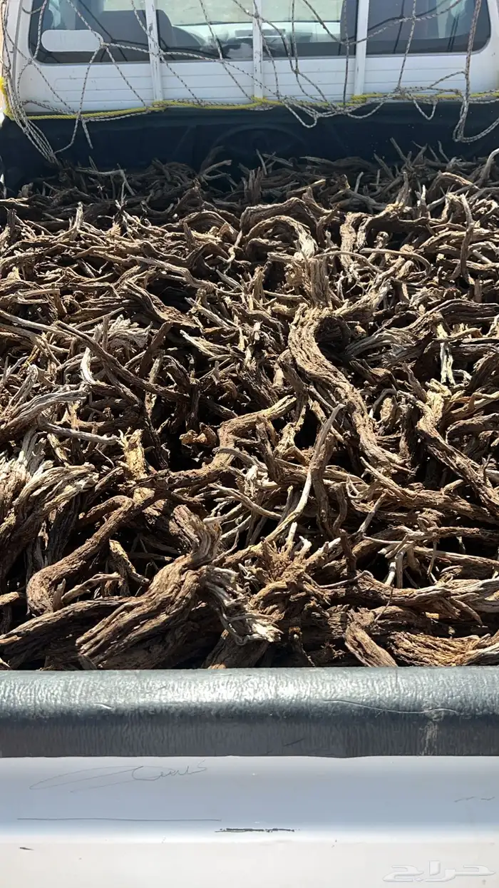 مسحه صندوق هيلكس البيع 0