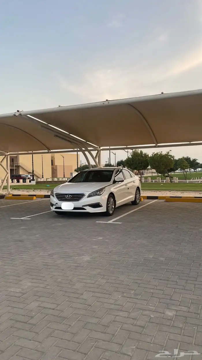 سوناتا 2018 11