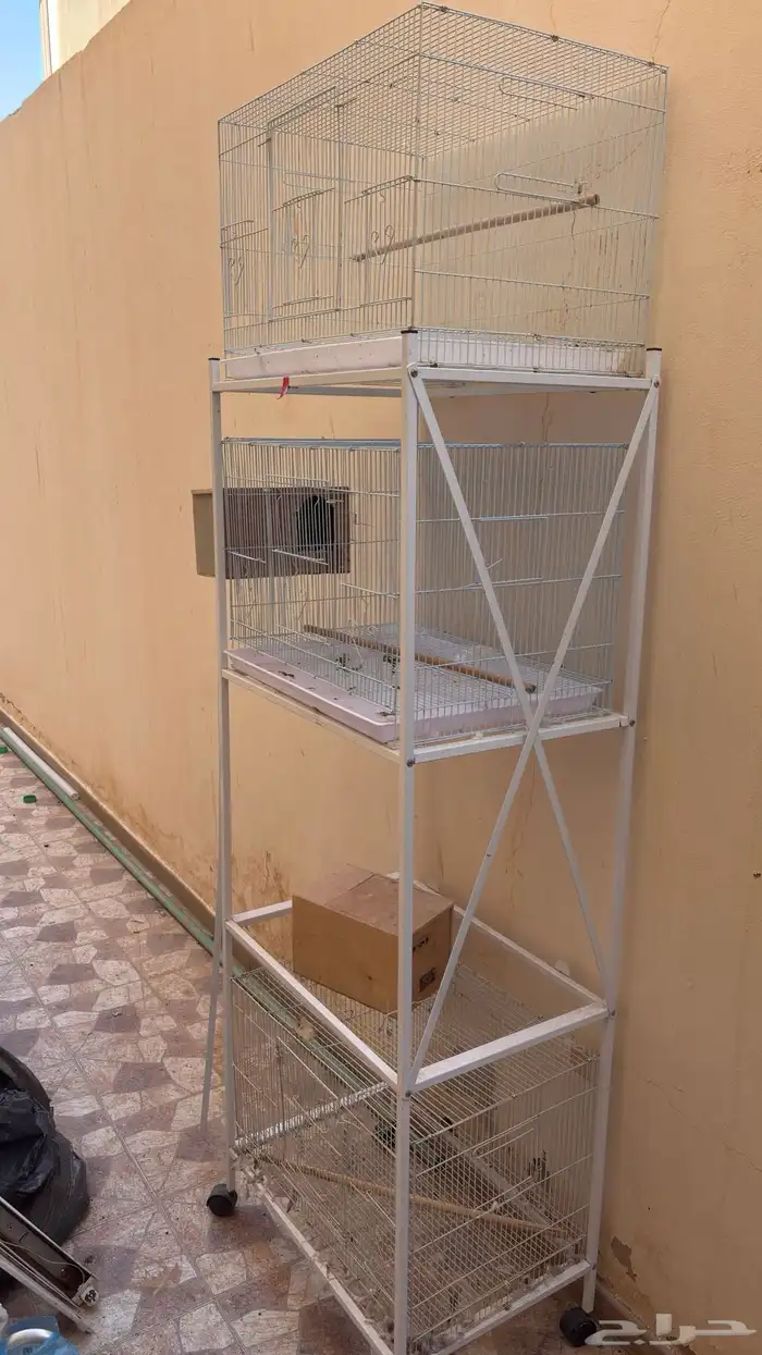 ستاند شبوك 601 مع شبوك 3