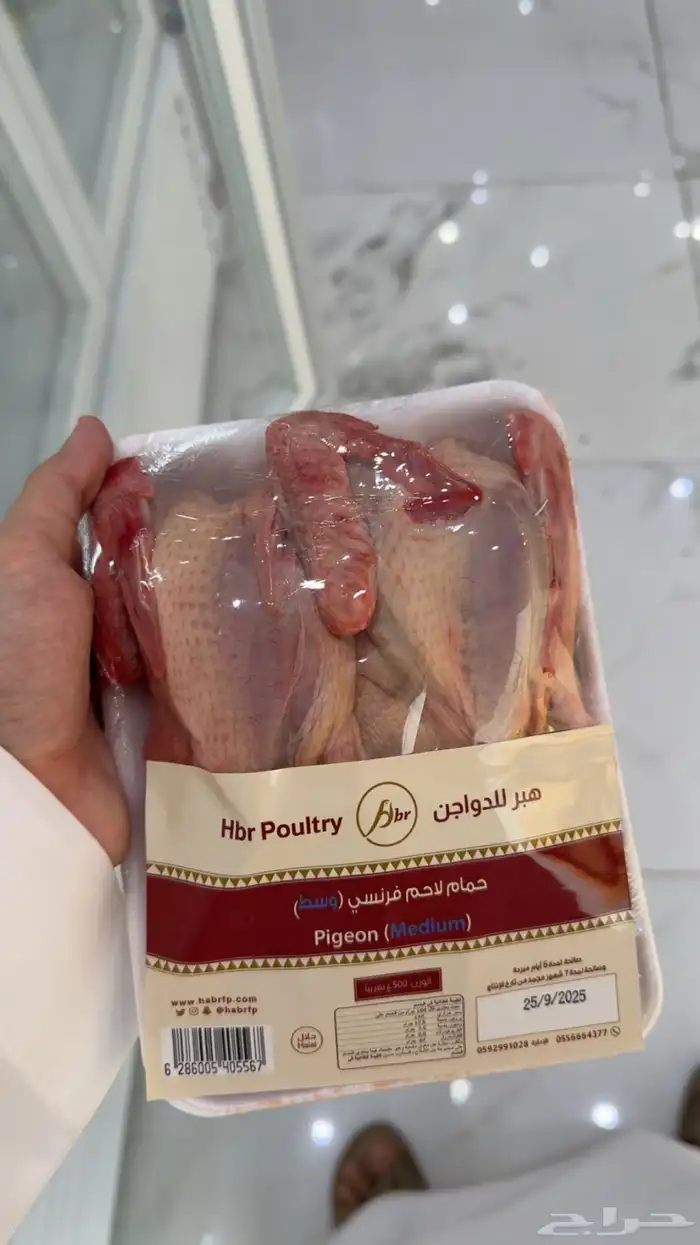 طيور دخل و حمام 1