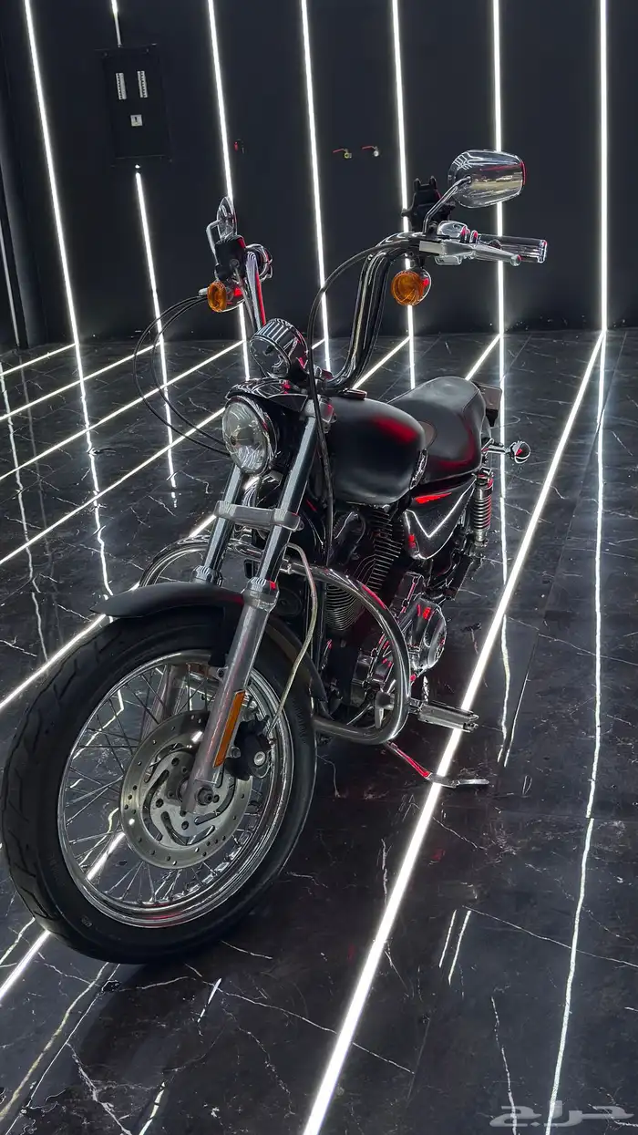 دباب هارلي 2