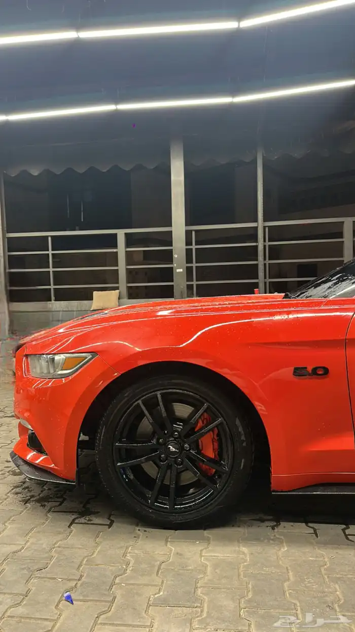 موستنق 2016 GT 9