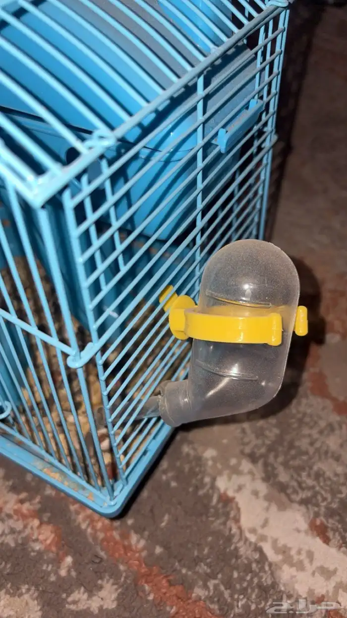 قفص هامستر 2