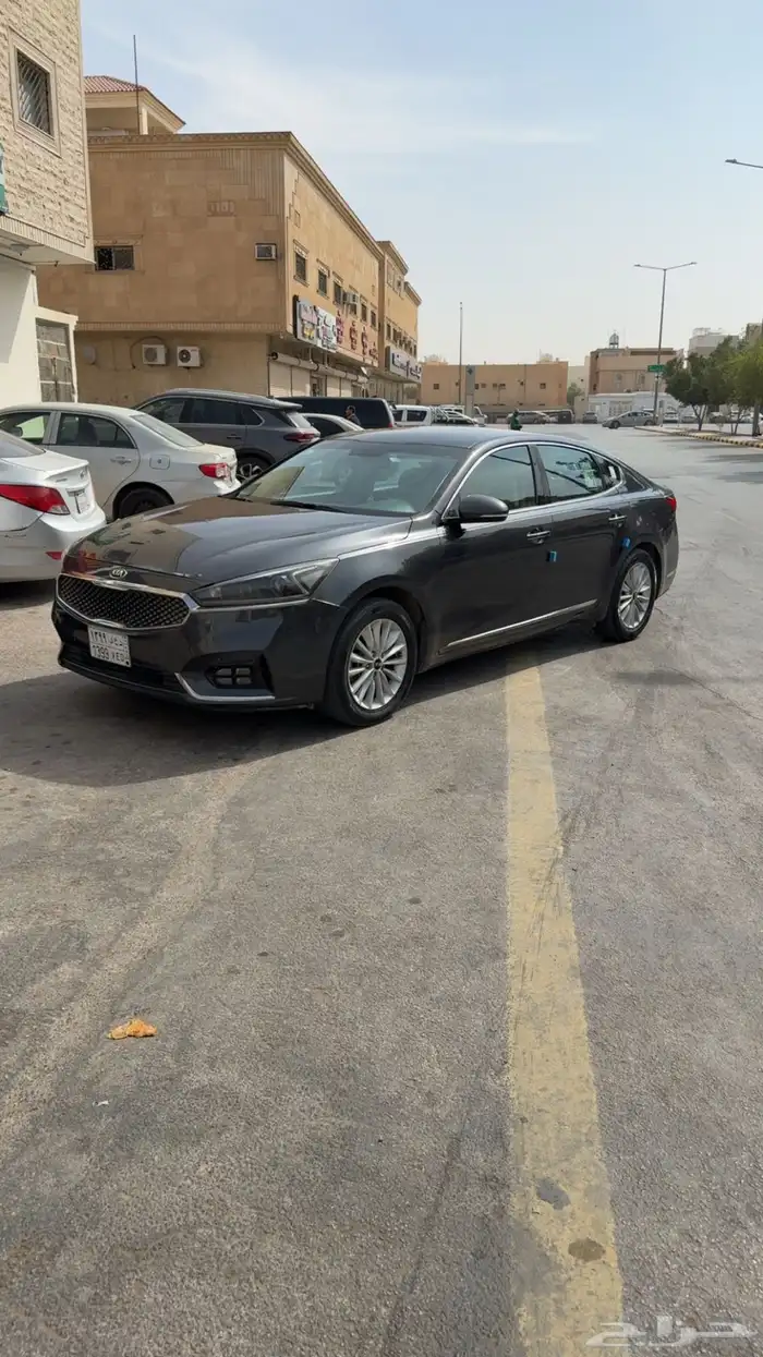 كادينزا 2017 استاندر خليجي 1