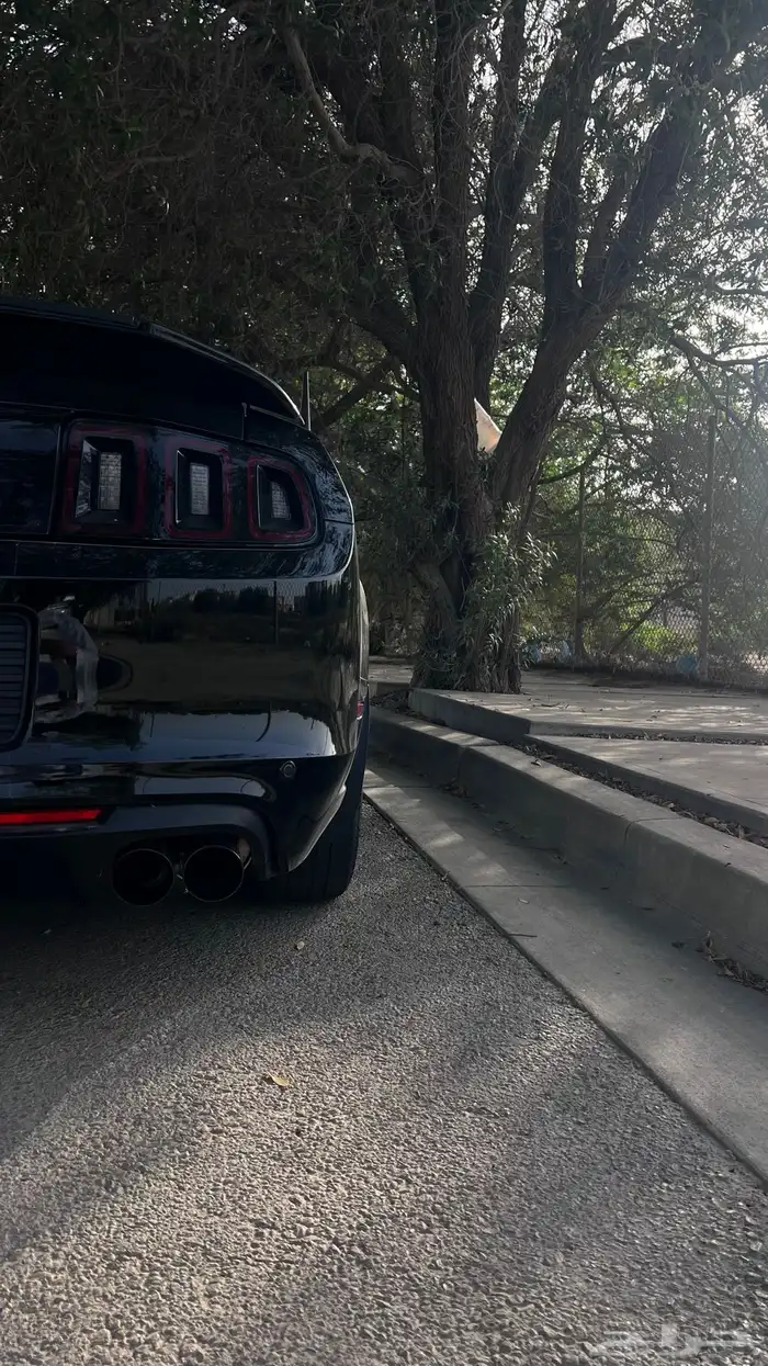 موستنج 2013 اسود قير عادي 8V 5