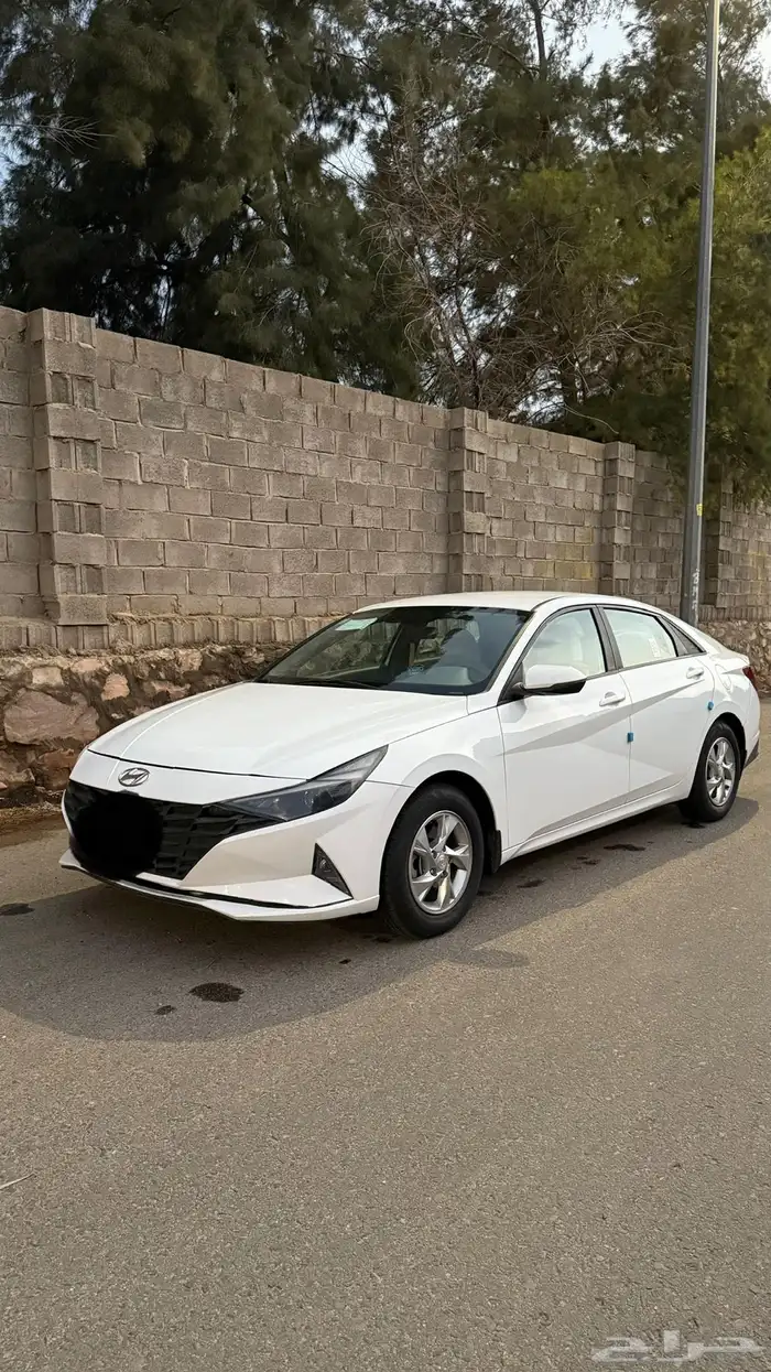 النترا م 2022 3